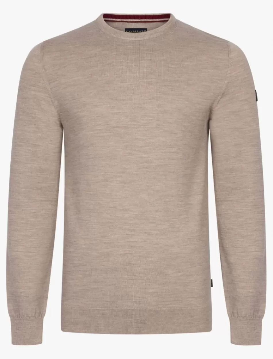 Shop Merino R-Neck Pullover Men Sweaters